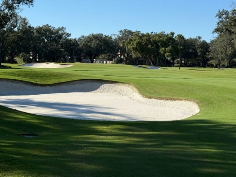 BOBBY WEED SUCCESSFULLY COMPLETES SECOND PHASE RENOVATION OF PALMA CEIA