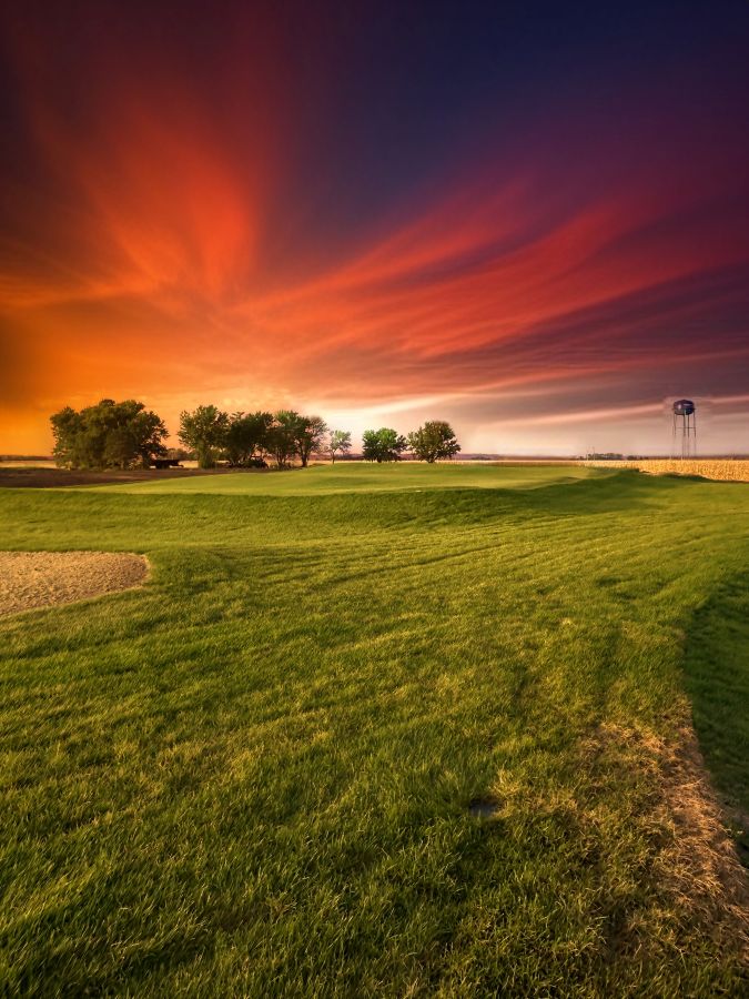 Dormer Heading Back to Nebraska To Finish Old Dane